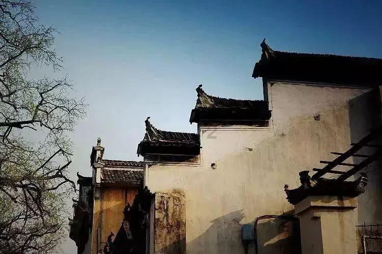 知识星球平台女生来答 如果我缩小后像食物一样被你直接吞到胃里会发生什么事呢?,知识分享专家云集